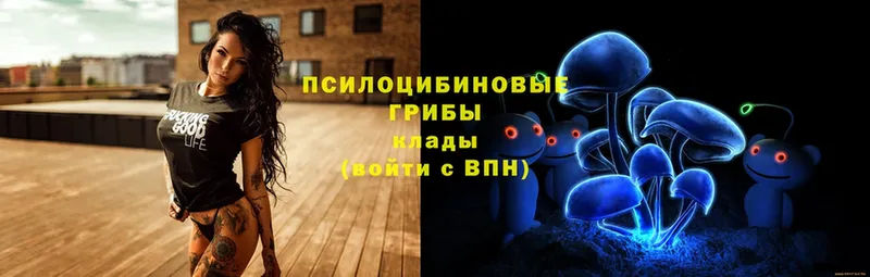 Псилоцибиновые грибы ЛСД  Воркута 